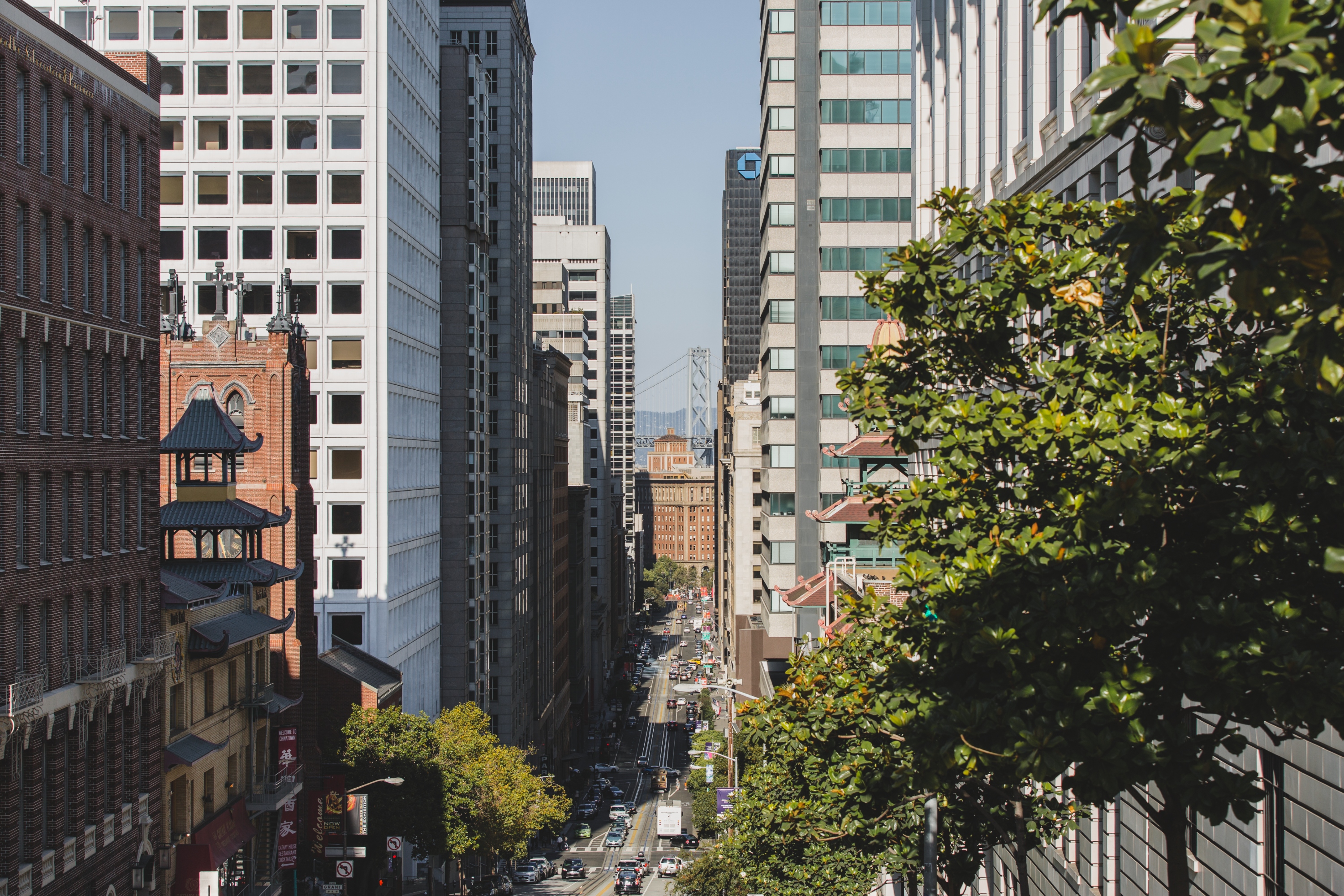 Market Photo